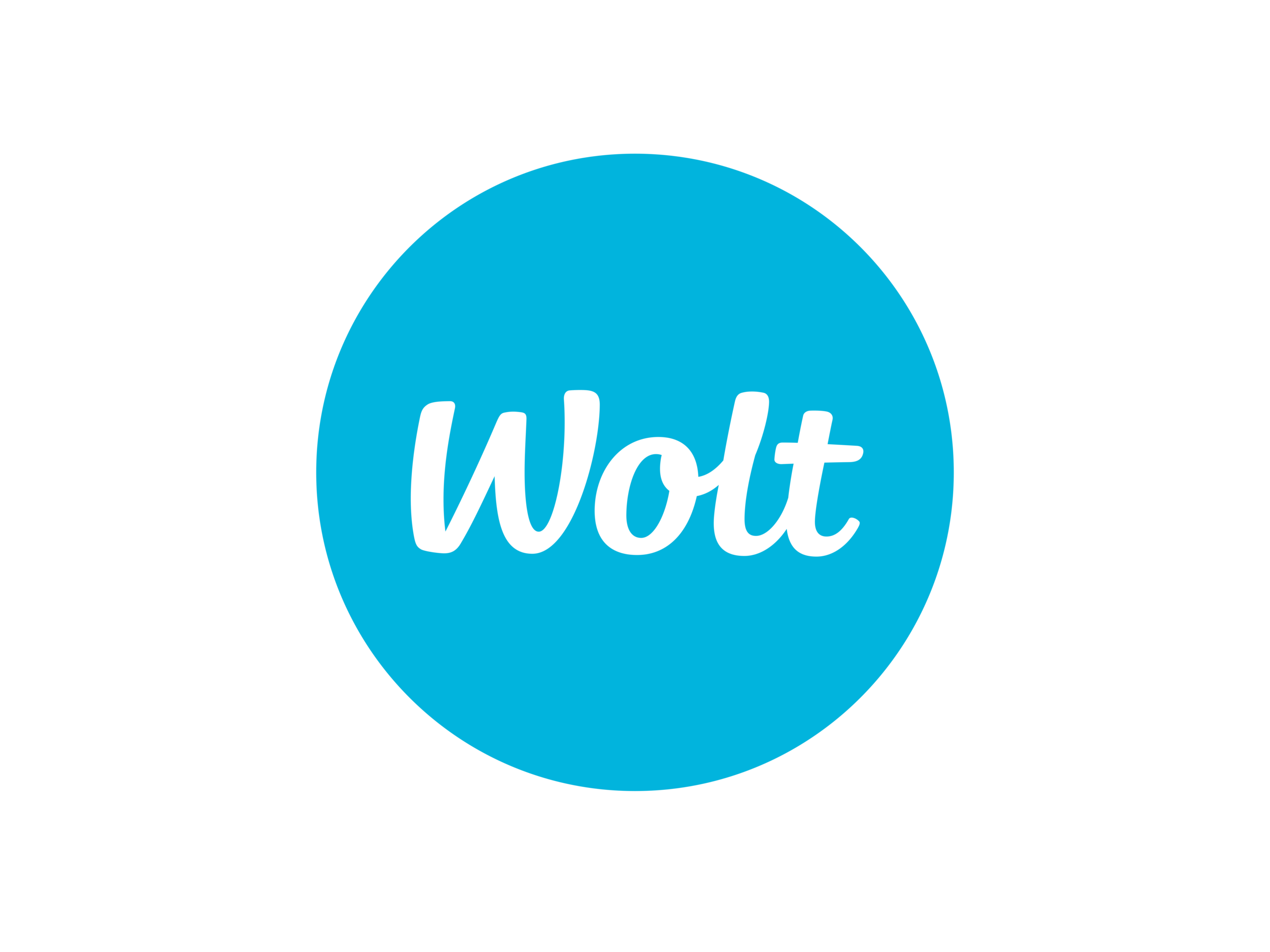 Logo von Wolt